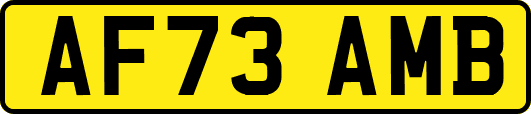 AF73AMB