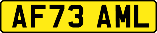 AF73AML