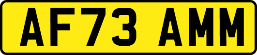 AF73AMM