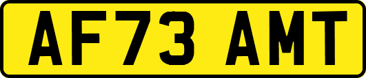 AF73AMT