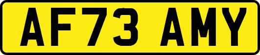 AF73AMY