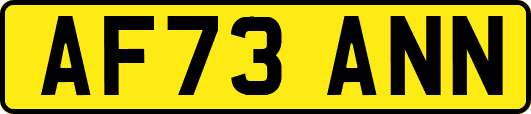 AF73ANN
