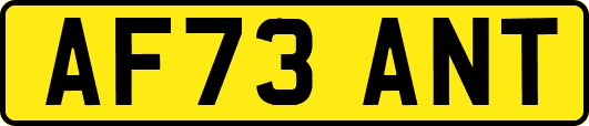 AF73ANT