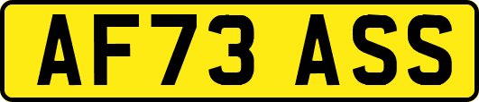 AF73ASS