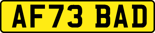 AF73BAD