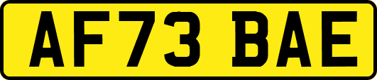 AF73BAE