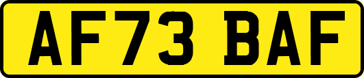 AF73BAF