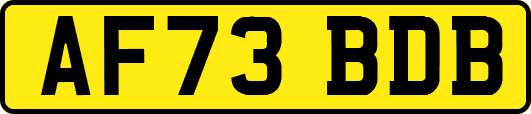AF73BDB