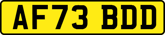 AF73BDD