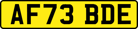 AF73BDE