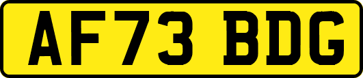 AF73BDG