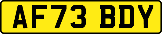 AF73BDY