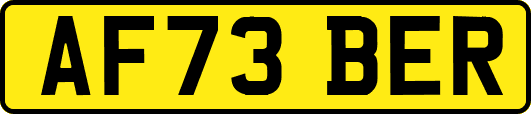 AF73BER