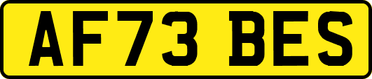 AF73BES