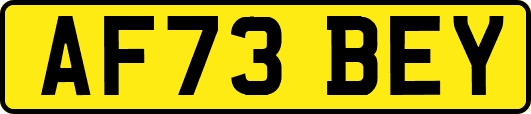 AF73BEY