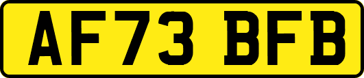 AF73BFB