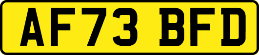AF73BFD