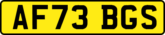 AF73BGS