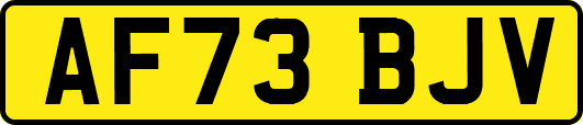 AF73BJV