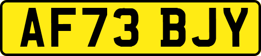 AF73BJY