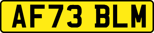 AF73BLM