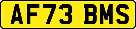 AF73BMS