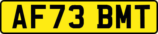 AF73BMT
