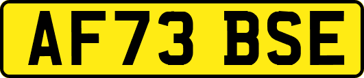 AF73BSE