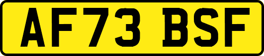 AF73BSF