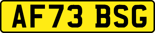 AF73BSG