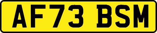 AF73BSM