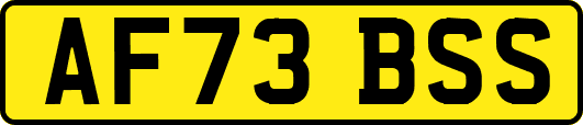 AF73BSS