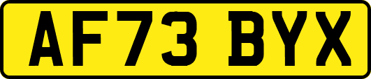 AF73BYX