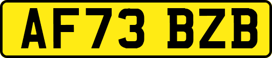 AF73BZB