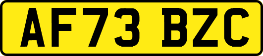 AF73BZC