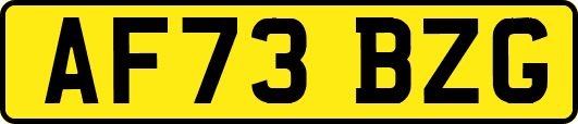 AF73BZG