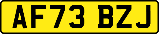 AF73BZJ