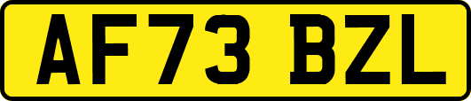 AF73BZL