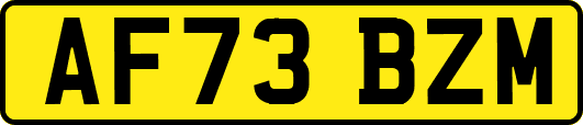 AF73BZM