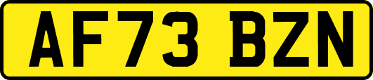 AF73BZN