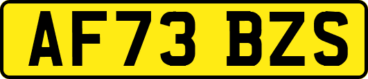 AF73BZS