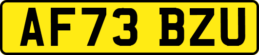 AF73BZU