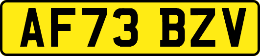 AF73BZV