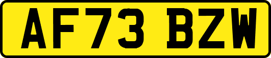 AF73BZW