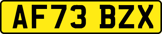AF73BZX
