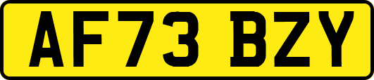 AF73BZY