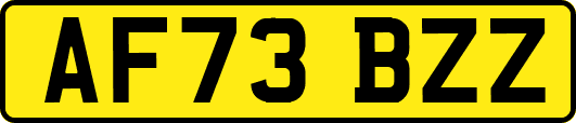 AF73BZZ
