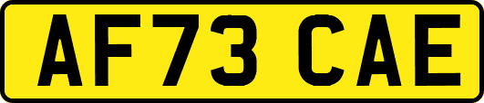 AF73CAE