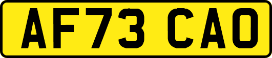 AF73CAO
