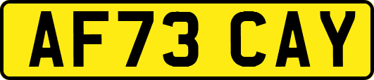 AF73CAY